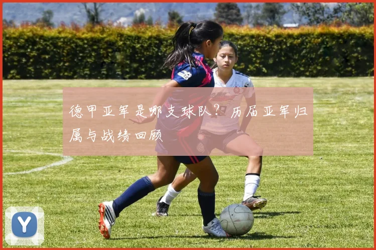 德甲亚军是哪支球队？历届亚军归属与战绩回顾