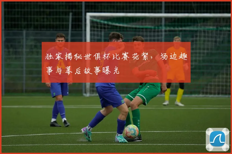 独家揭秘世俱杯比赛花絮，场边趣事与幕后故事曝光