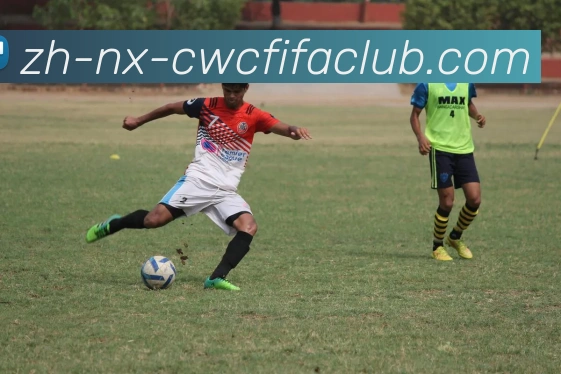 世界杯竞猜发展历程