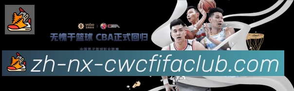 未来规划